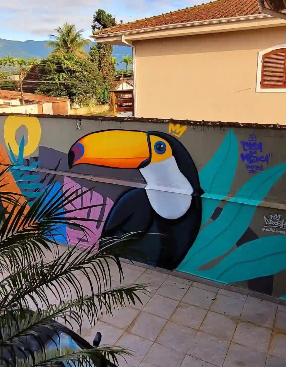 Grafite Tucano Muro Casa - Artista Daniel Drosh